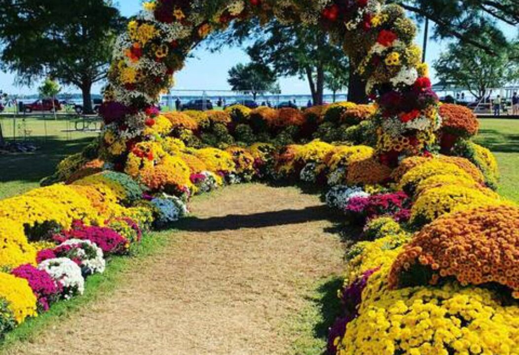 Photo of Outdoor in New Bern