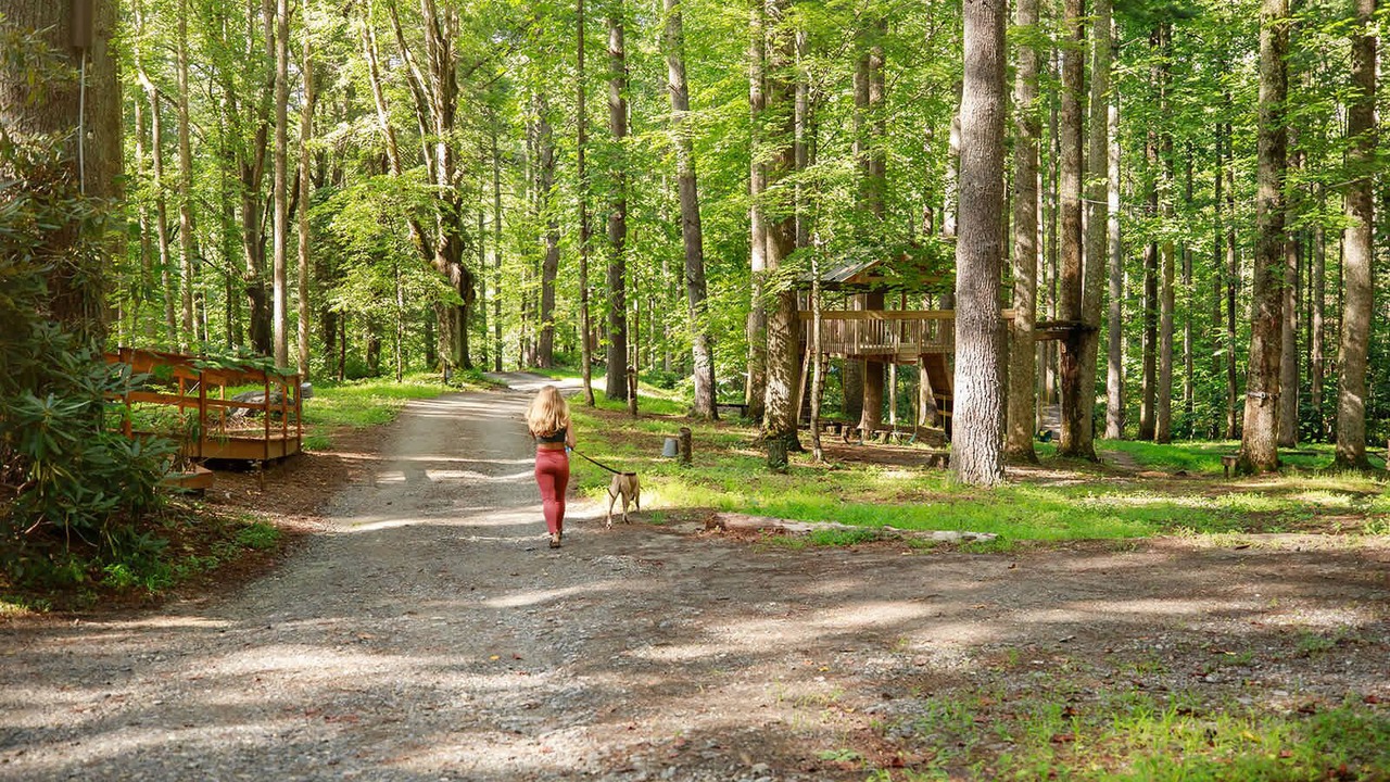Photo of Outdoor in Saluda