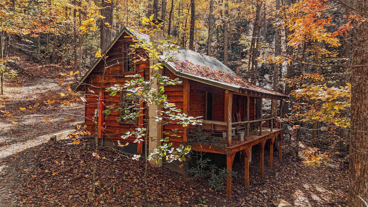 Photo of Outdoor in Saluda