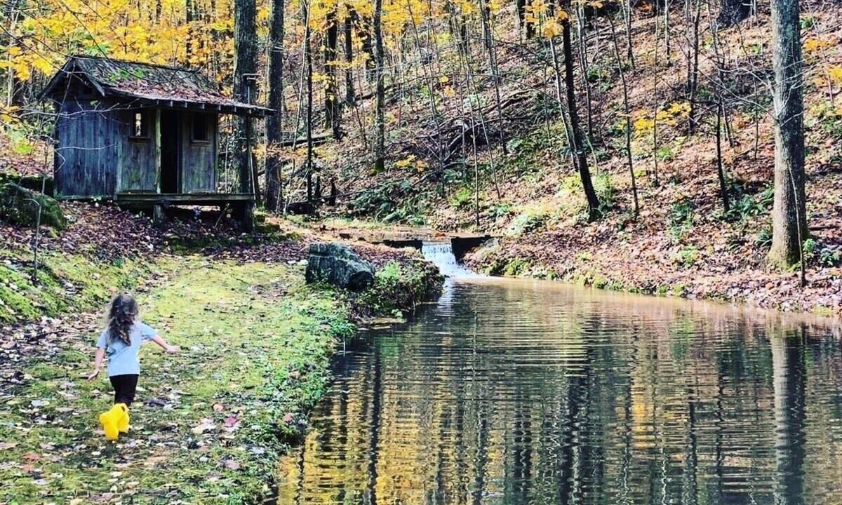 Photo of Outdoor in Saluda
