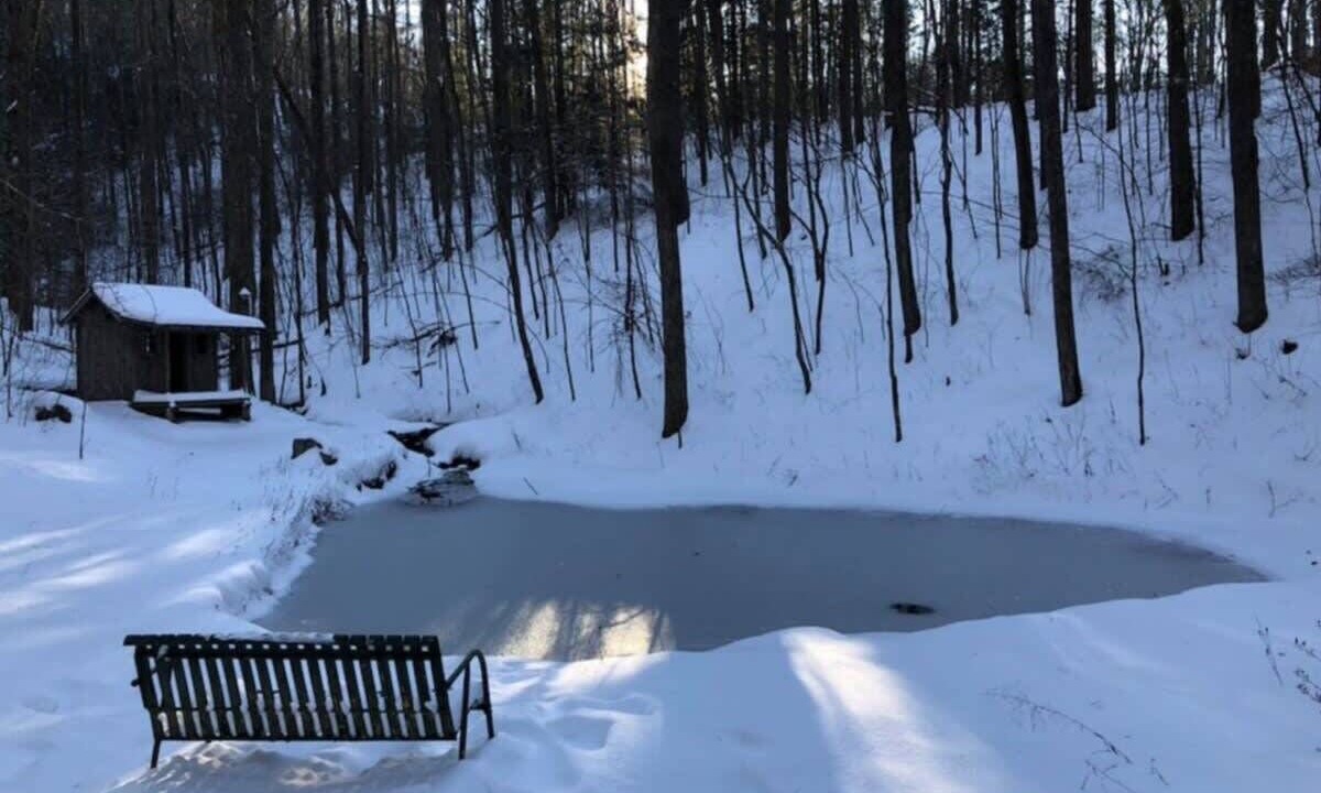 Photo of Outdoor in Saluda