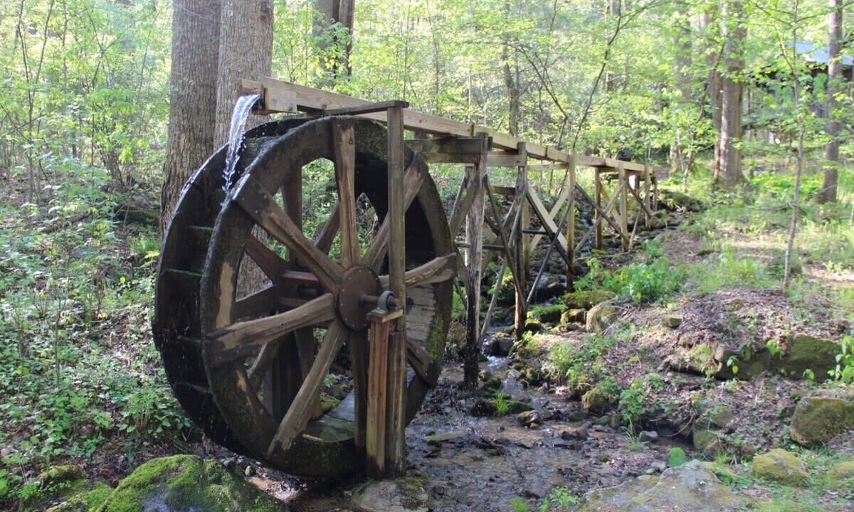 Photo of Others in Saluda