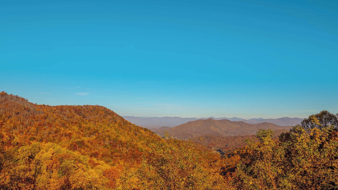 Photo of Others in Saluda
