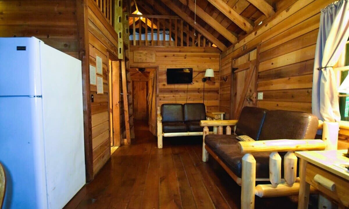 Photo of Livingroom in Saluda