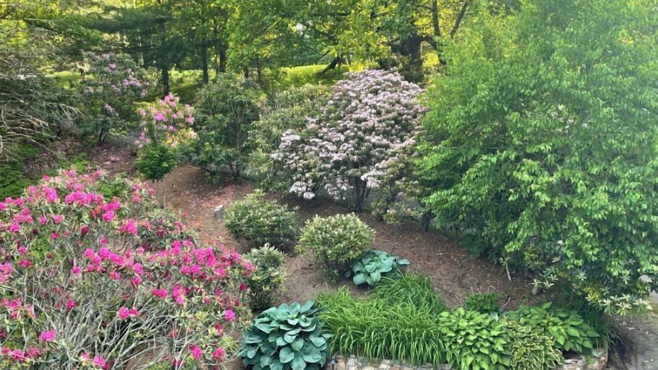 Photo of Outdoor in Blowing Rock