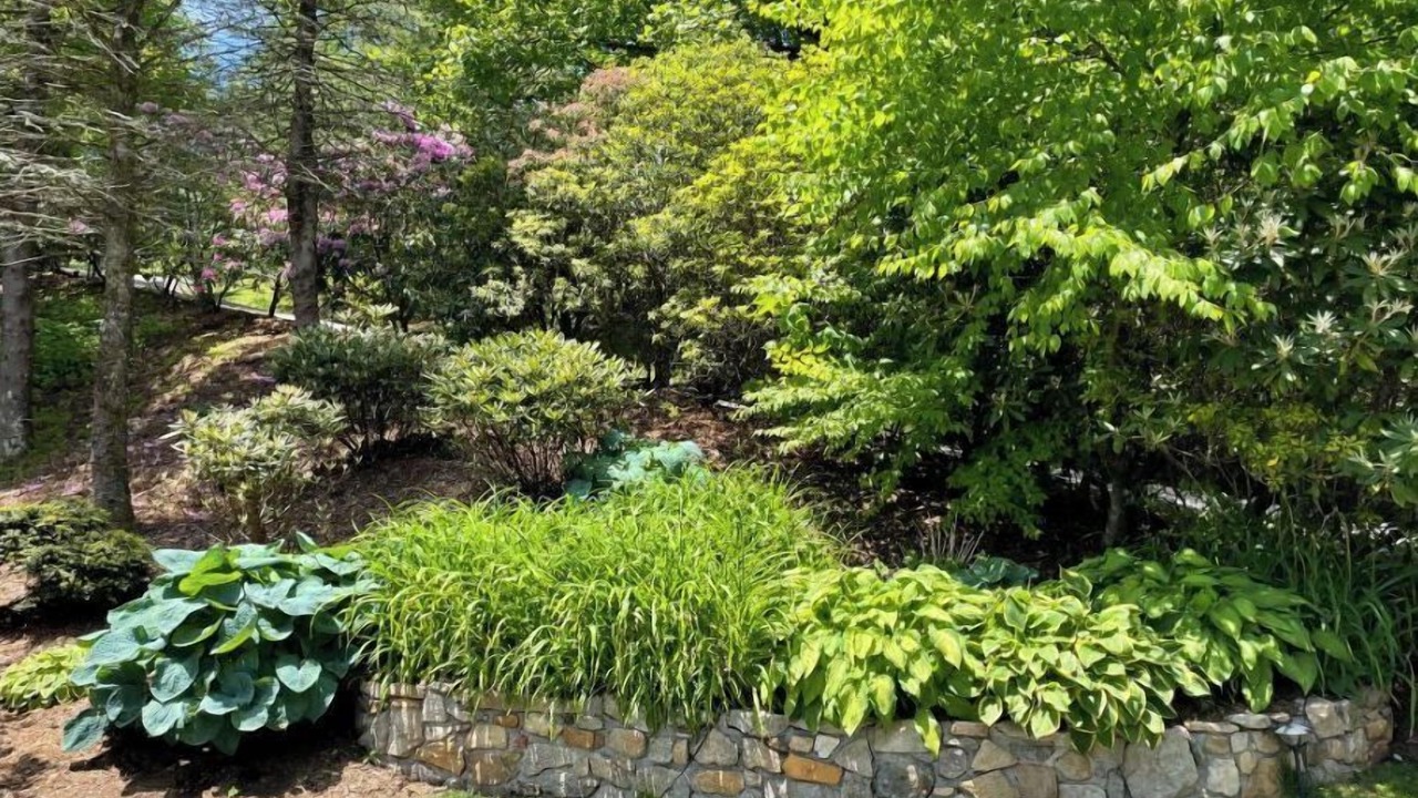 Photo of Outdoor in Blowing Rock
