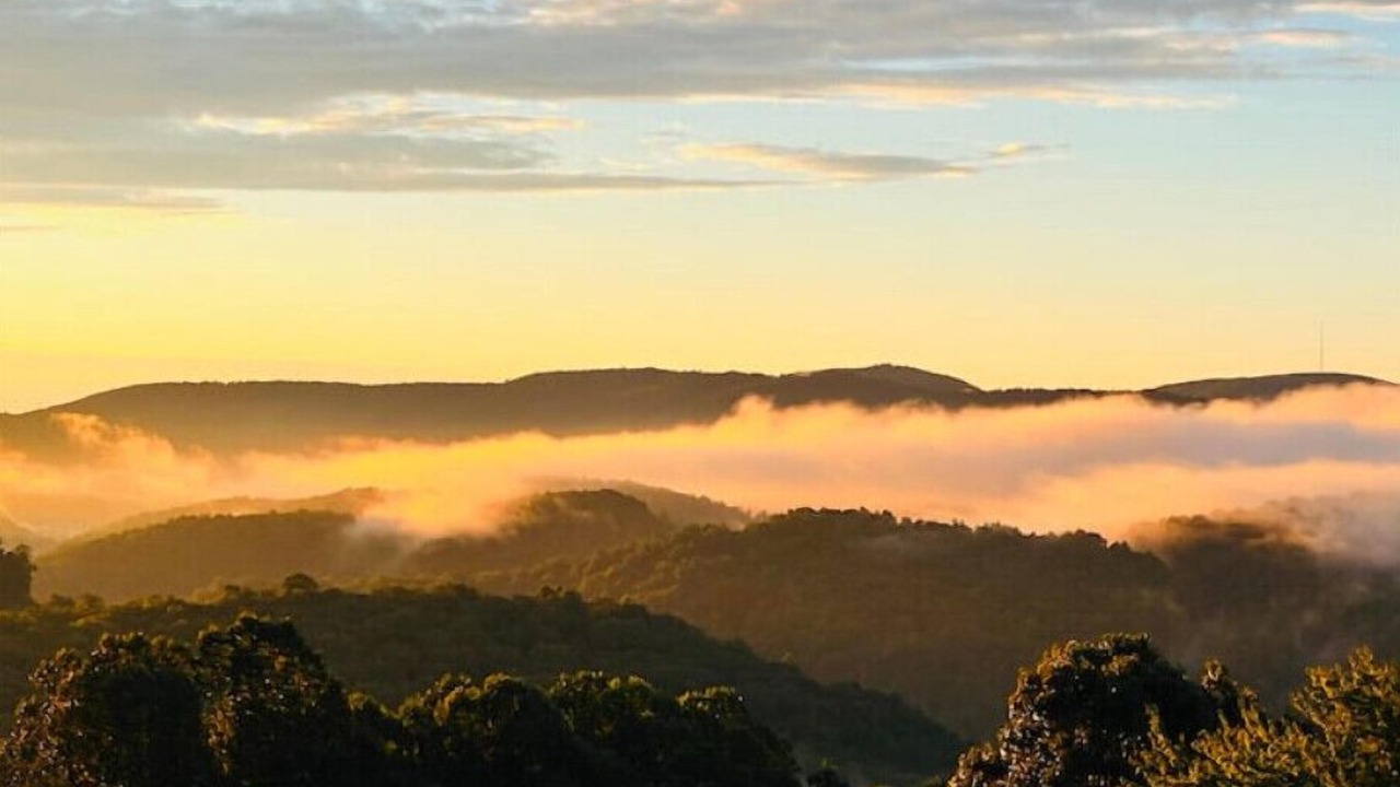 Photo of Outdoor in Saluda