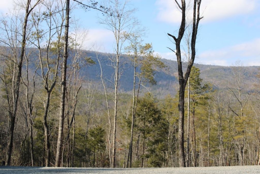 Photo of Others in Morganton