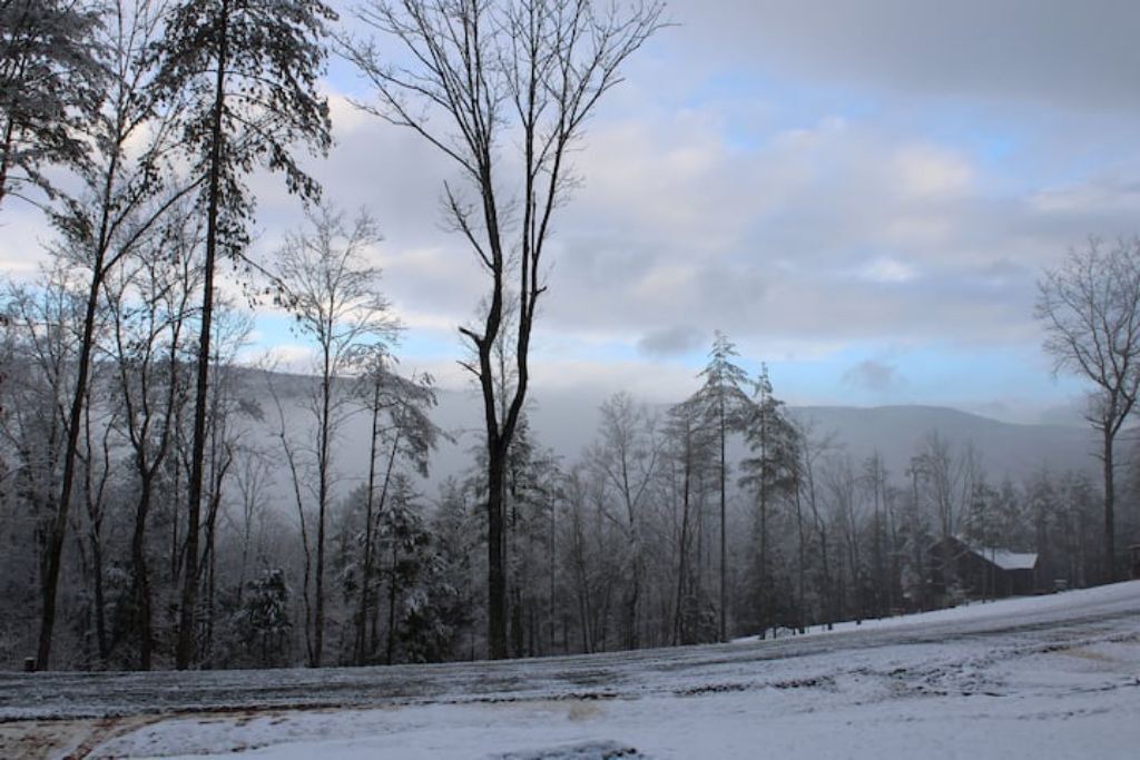 Photo of Others in Morganton