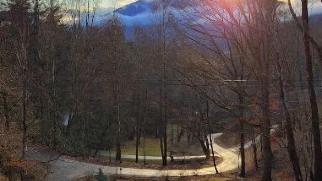 Photo of Outdoor in Maple Springs