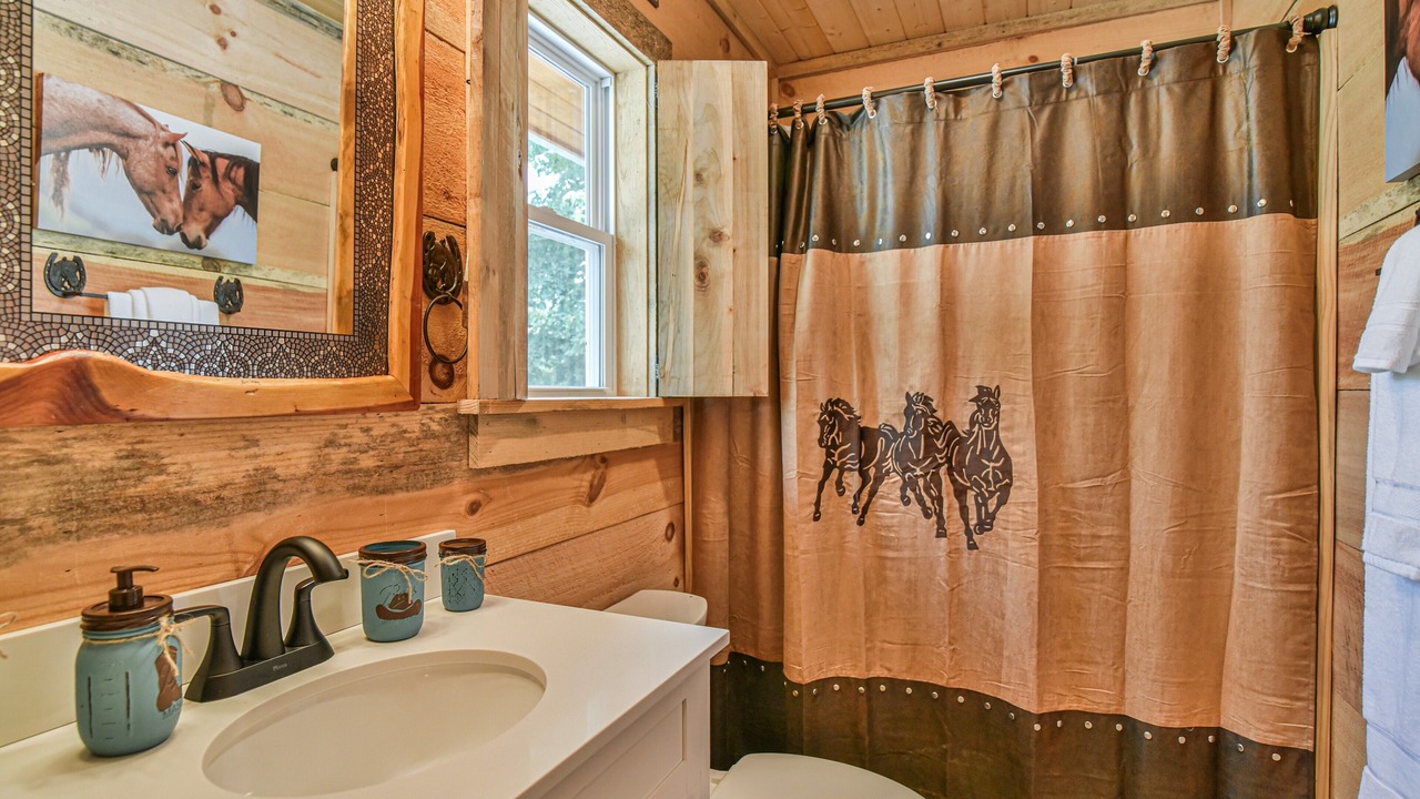 Photo of Bathroom in Hendersonville