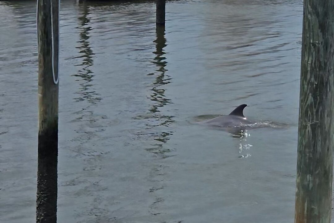 Photo of Others in Southport