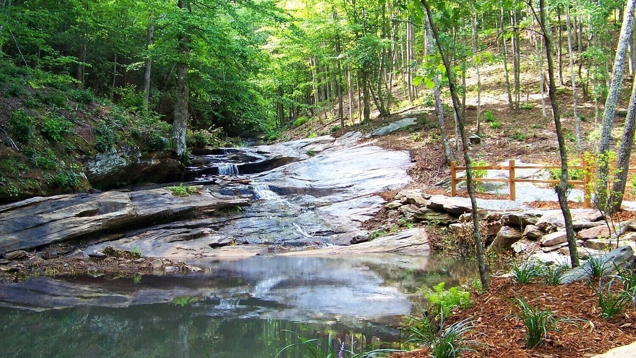 Photo of Others in Vein Mountain