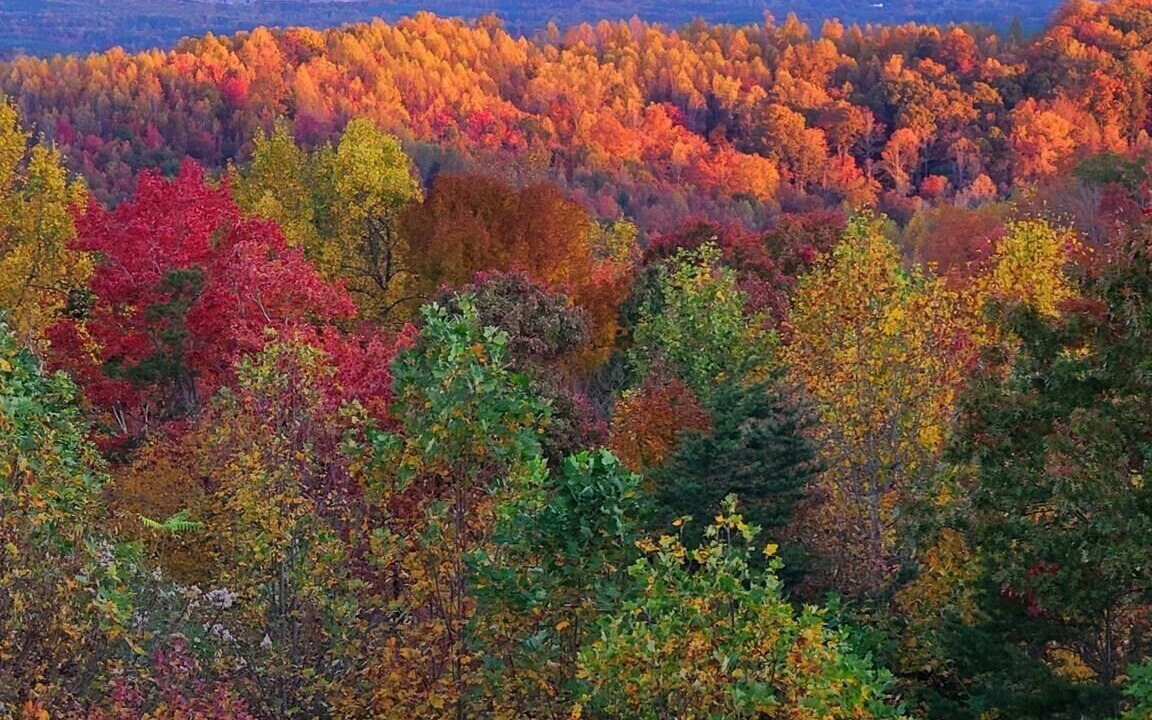 Photo of Outdoor in Vein Mountain