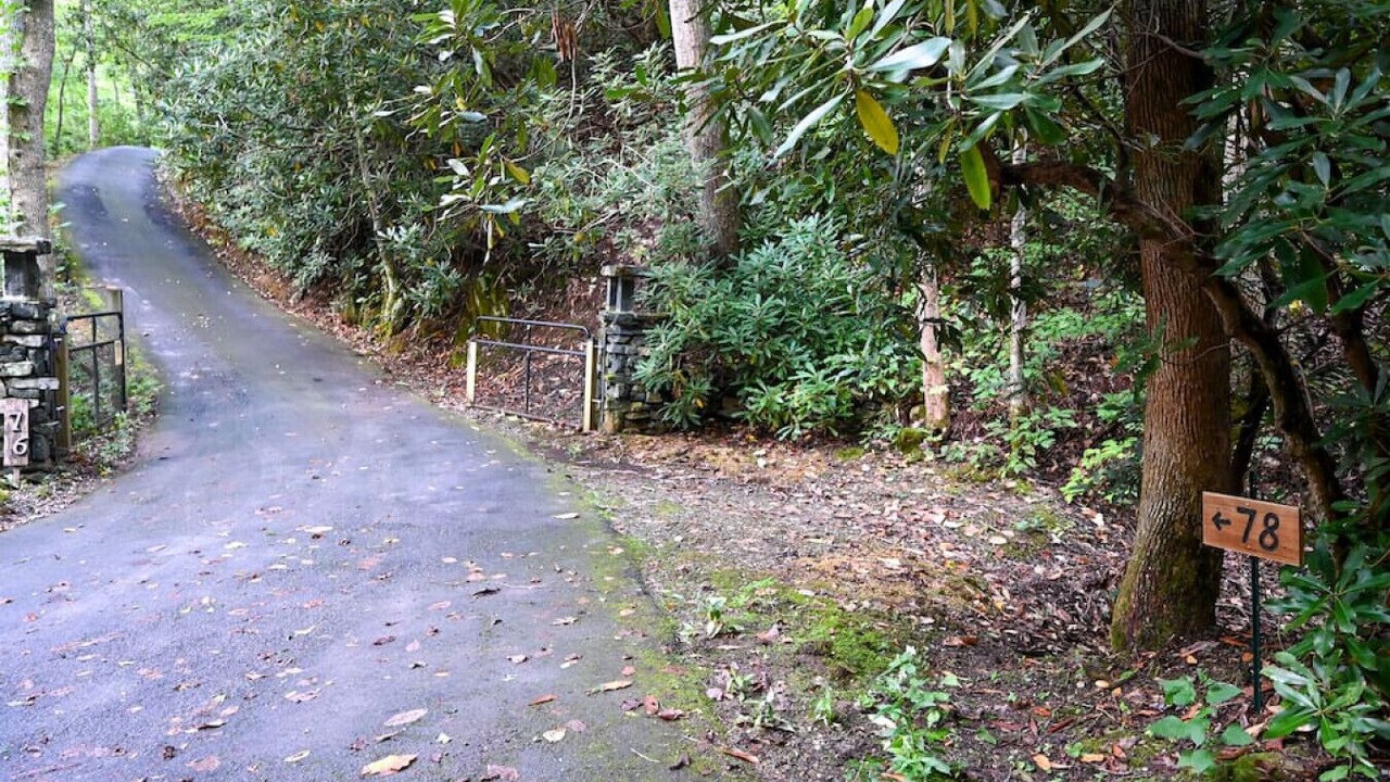 Photo of Outdoor in Weaverville
