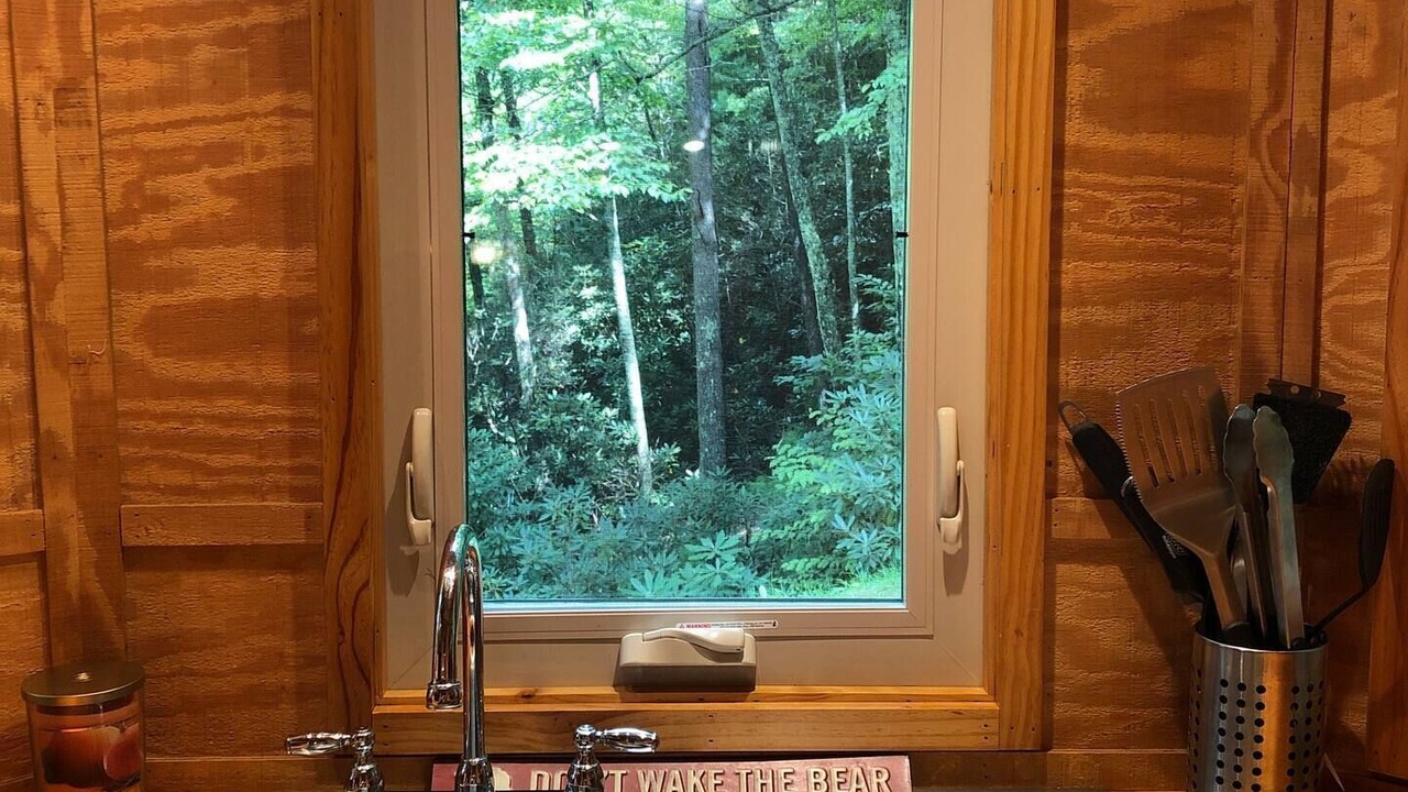 Photo of Others in Swannanoa