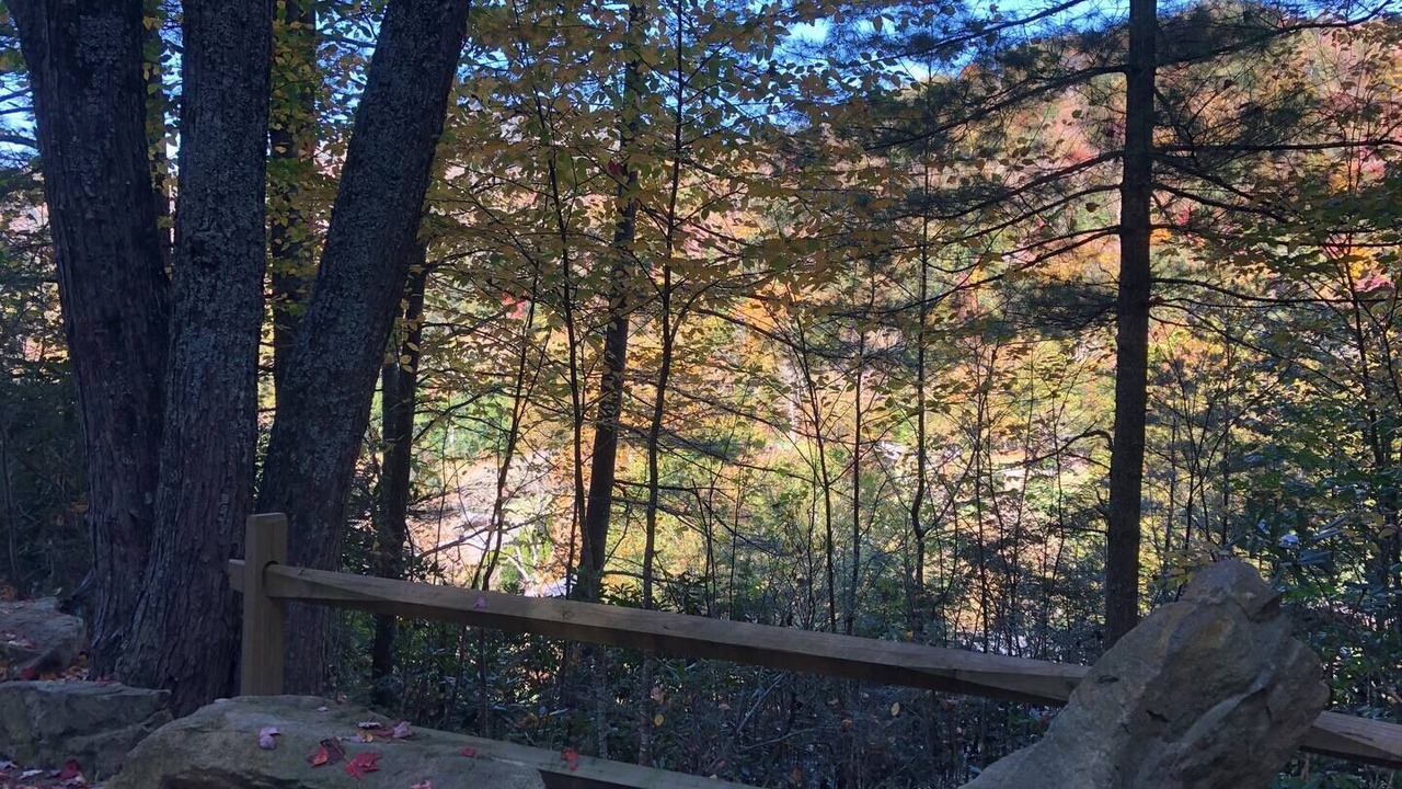 Photo of Outdoor in Swannanoa