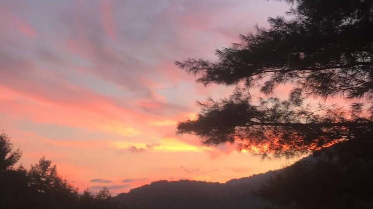 Photo of Others in Swannanoa