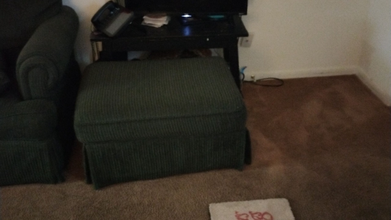 Photo of Livingroom in Roxboro