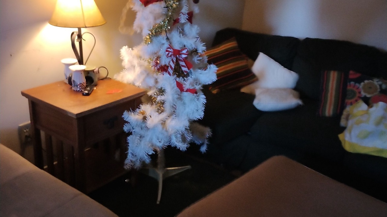 Photo of Livingroom in Roxboro