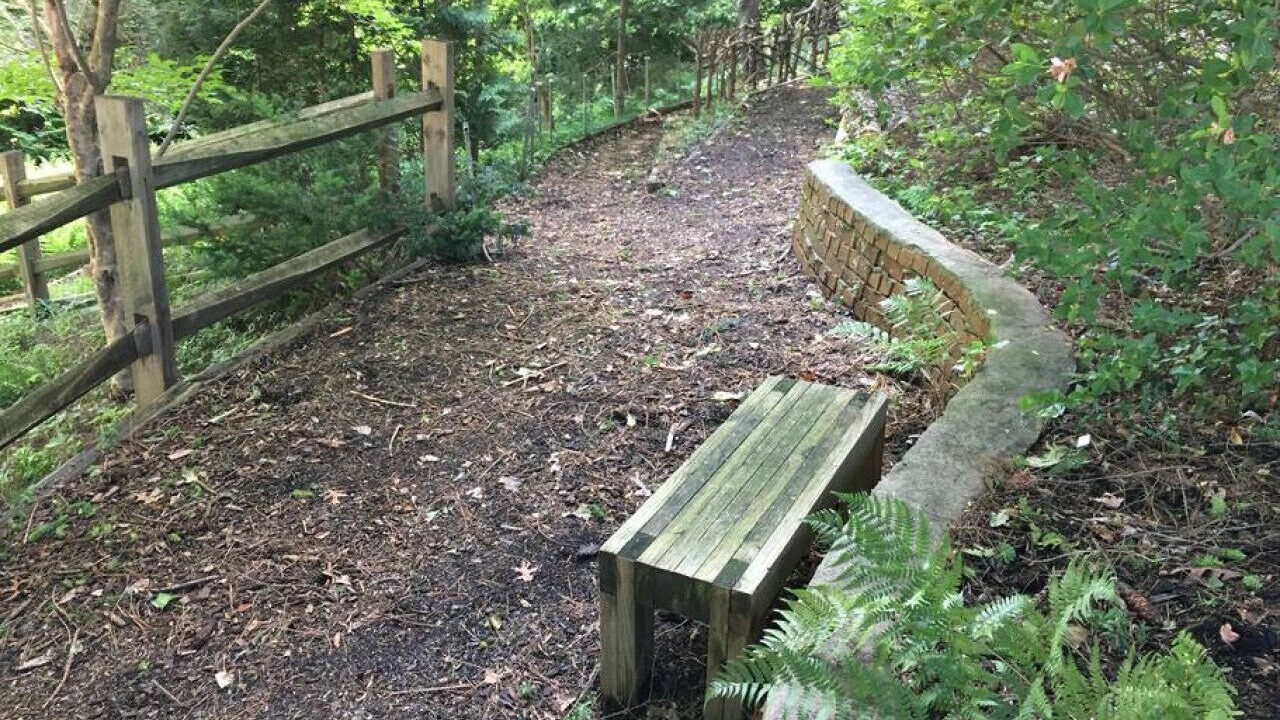 Photo of Outdoor in Canton