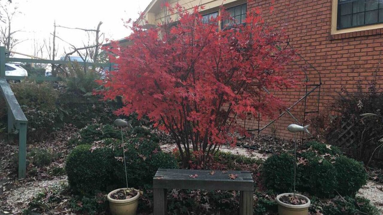Photo of Outdoor in Canton