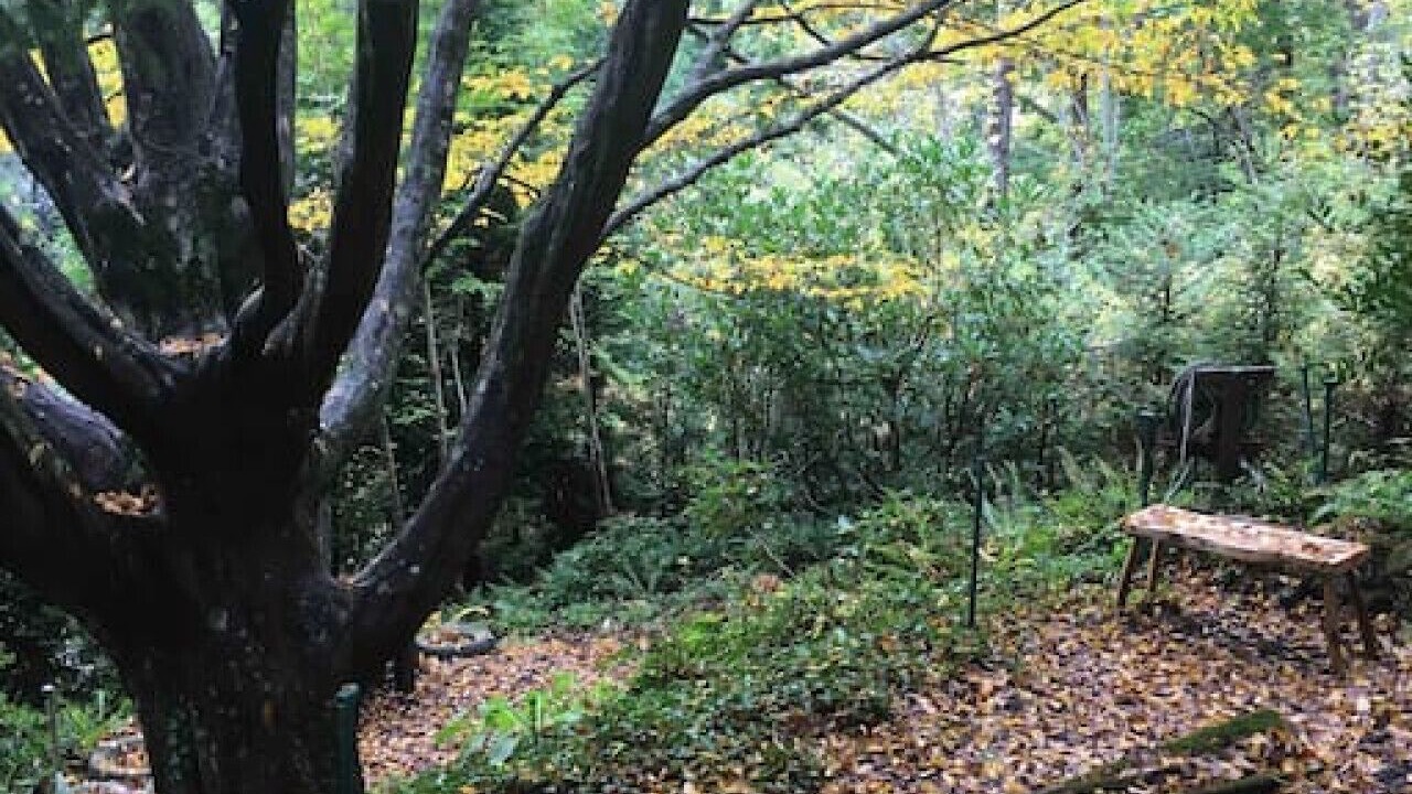 Photo of Outdoor in Canton