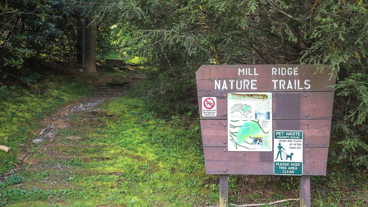 Photo of Outdoor in Mill Ridge