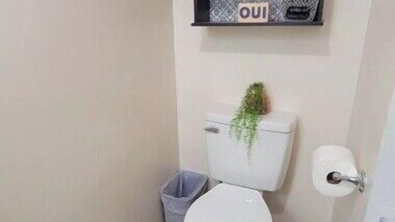Photo of Bathroom in Cape Fear