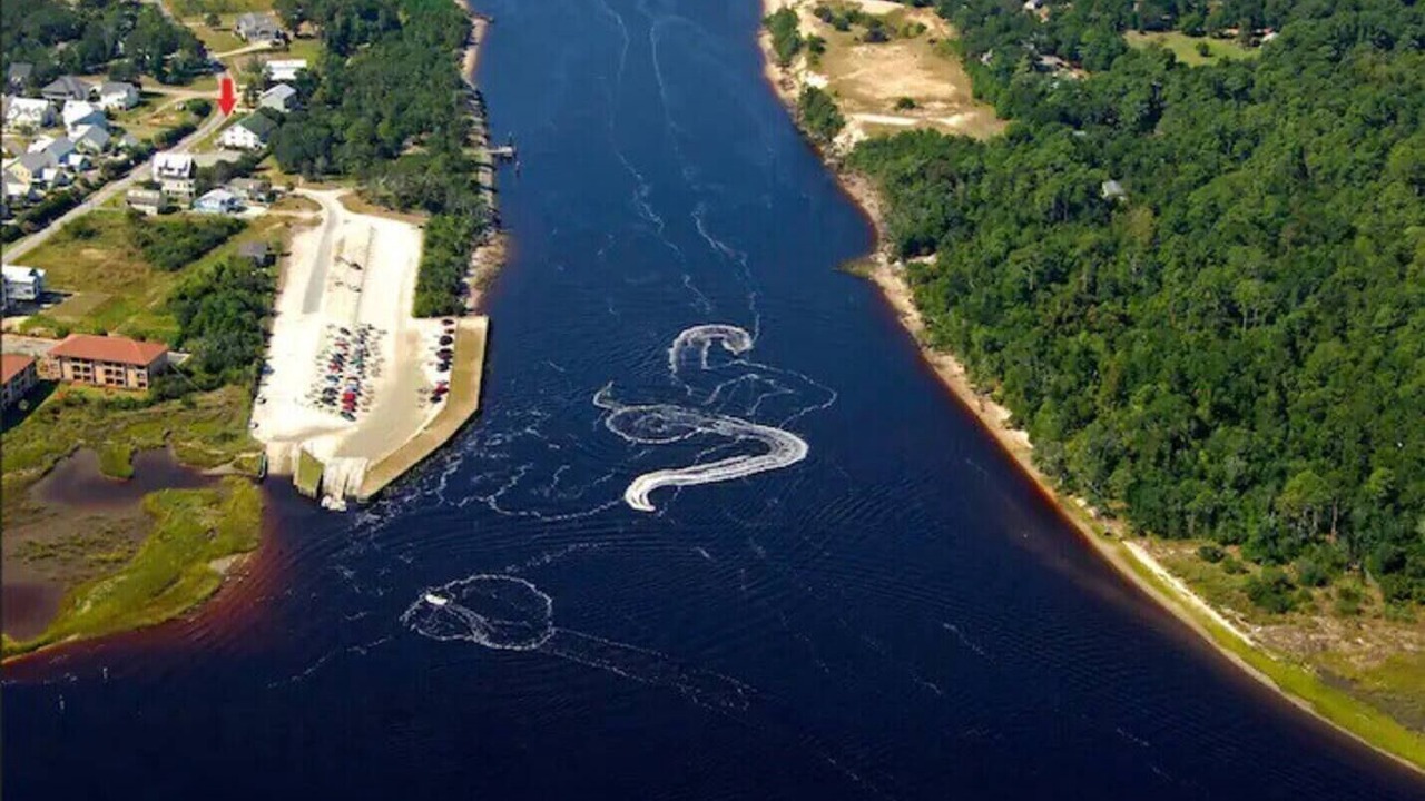 Photo of Others in North Carolina Coast