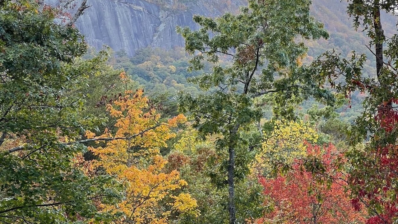 Photo of Others in Lake Lure