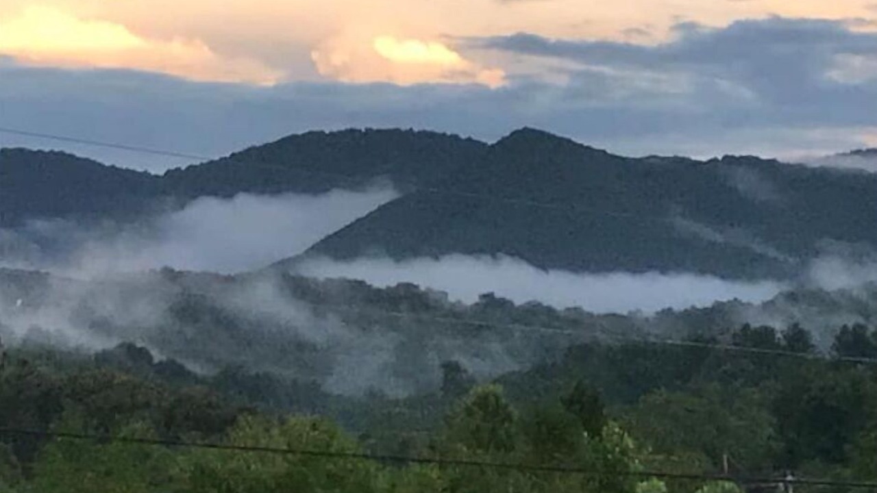 Photo of Others in Candler