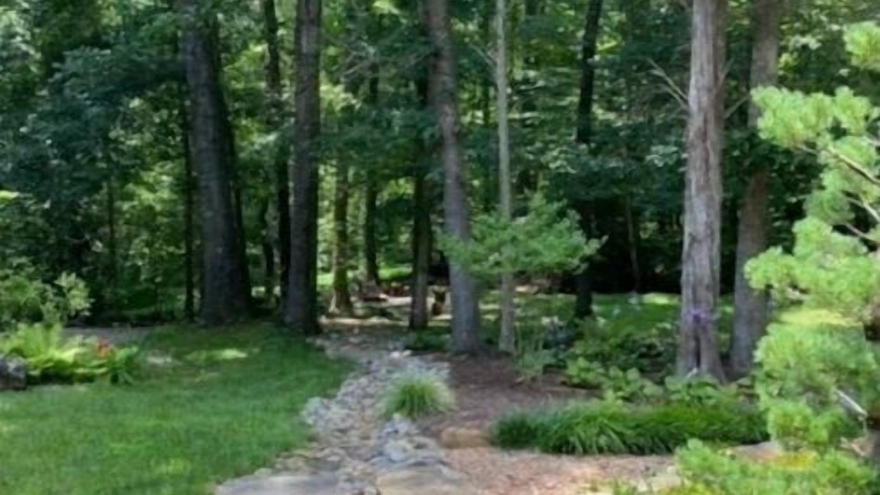 Photo of Outdoor in Winston - Salem