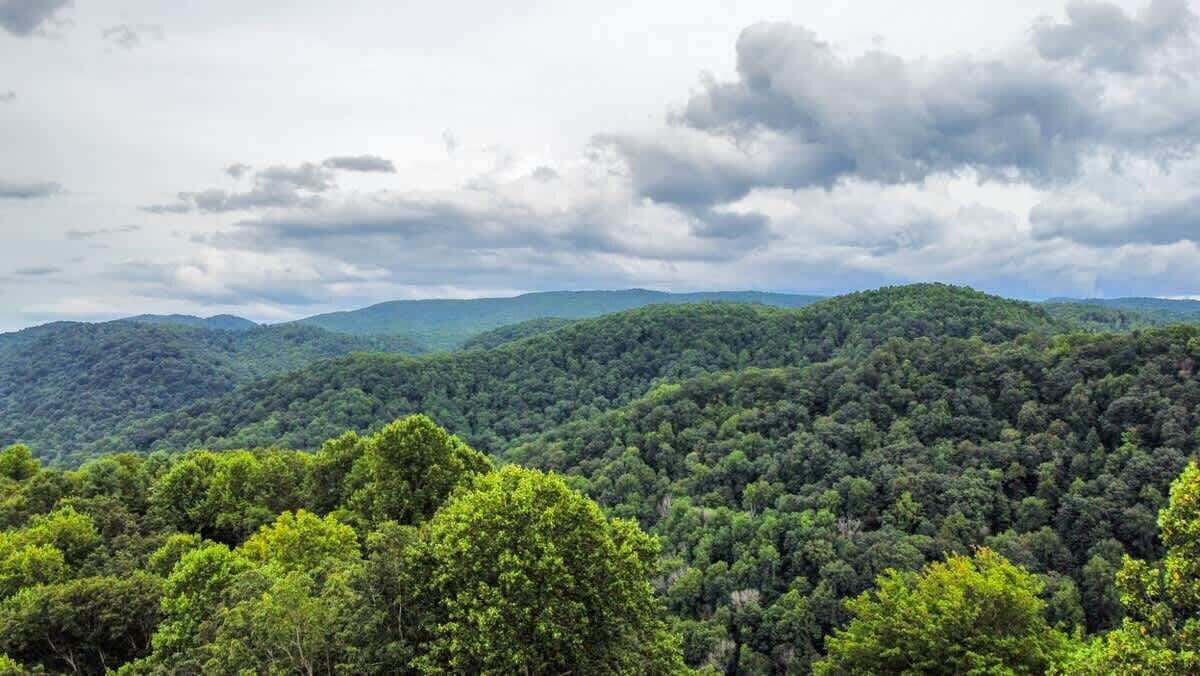 Photo of Others in Saluda