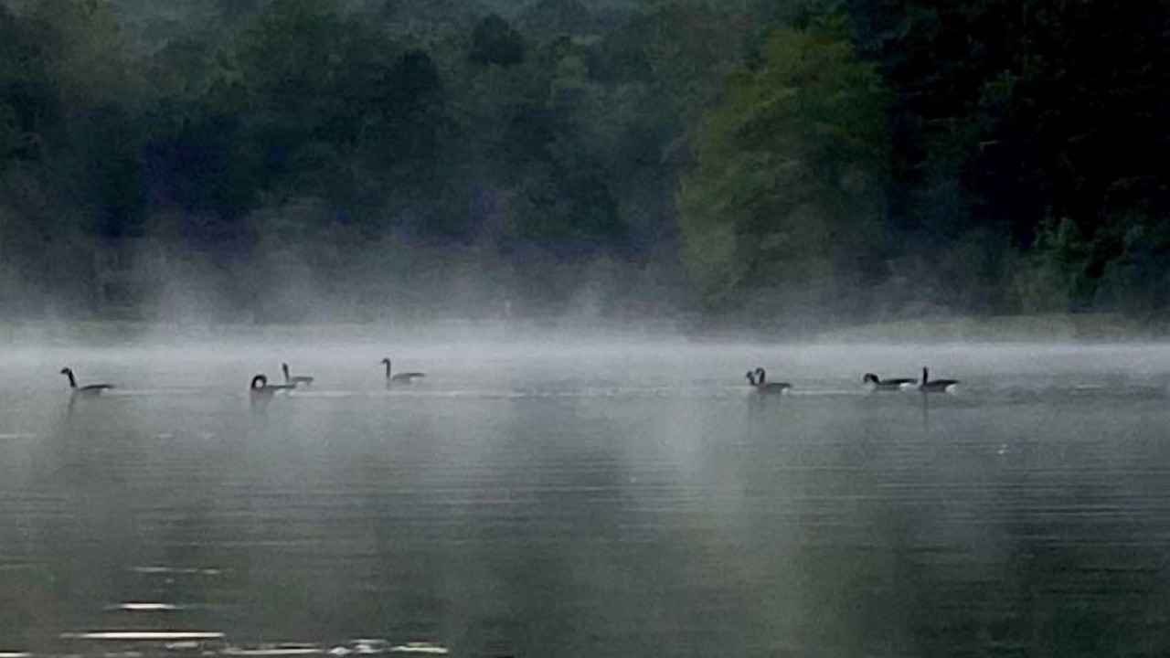Photo of Outdoor in Brevard