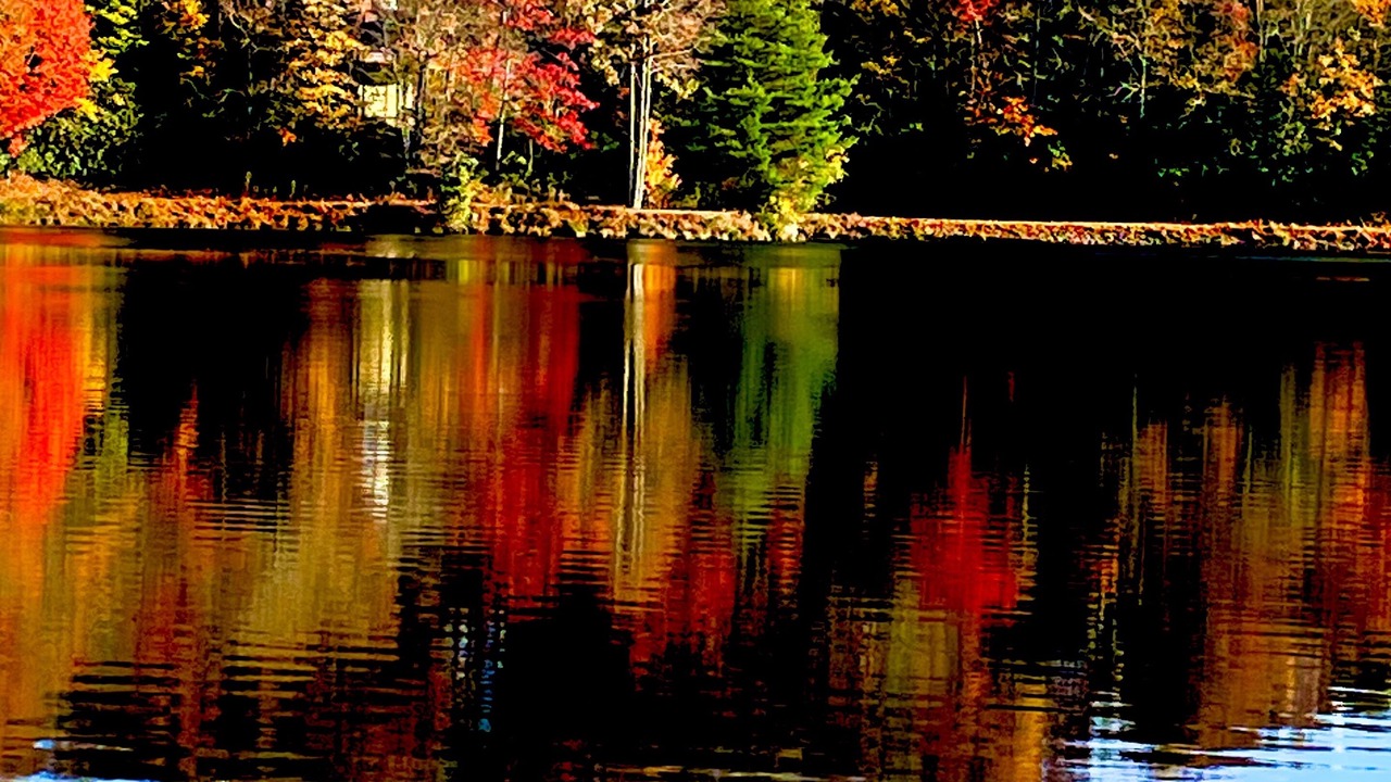 Photo of Outdoor in Brevard