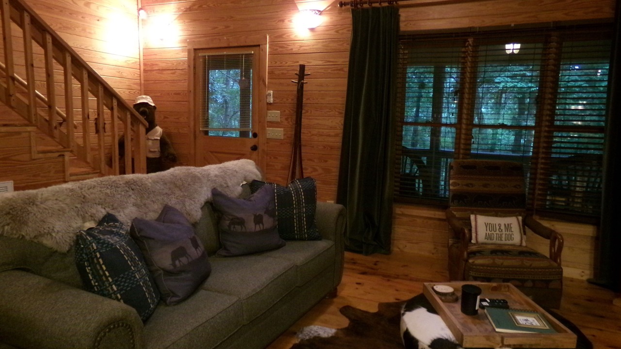 Photo of Livingroom in Laurel Springs