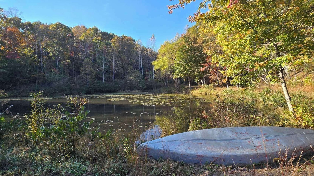 Photo of Others in Lenoir