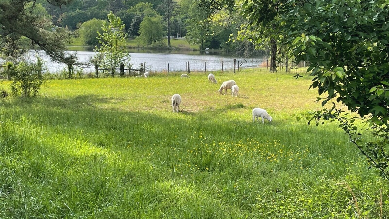 Photo of Others in Kipling