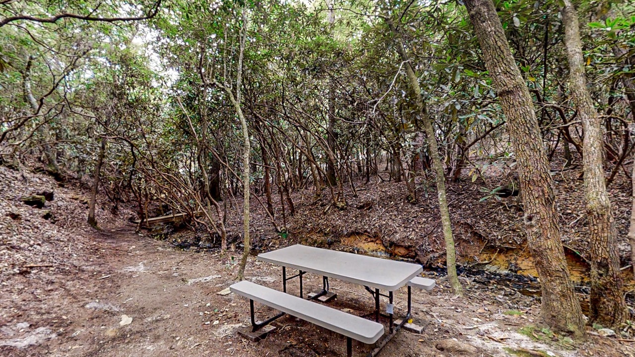 Photo of Outdoor in Murphy