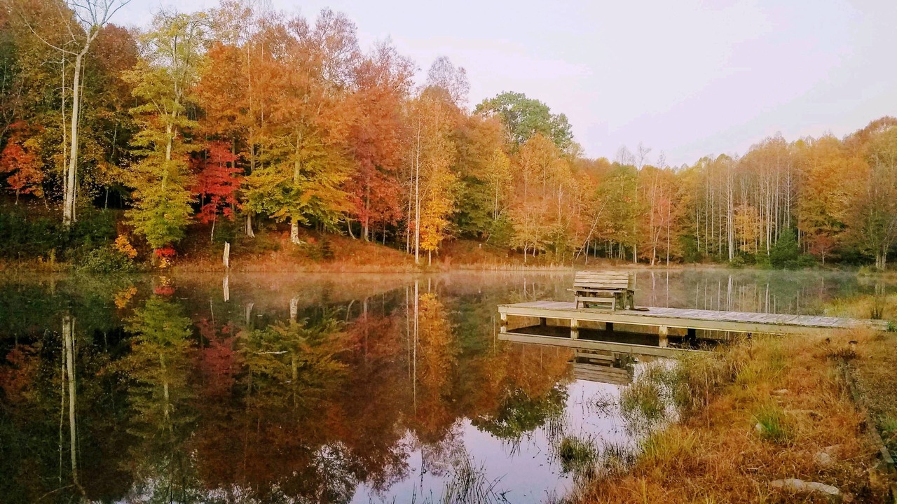 Photo of Outdoor in Ruffin