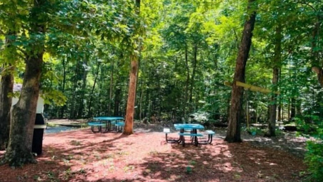 Photo of Outdoor in Macon