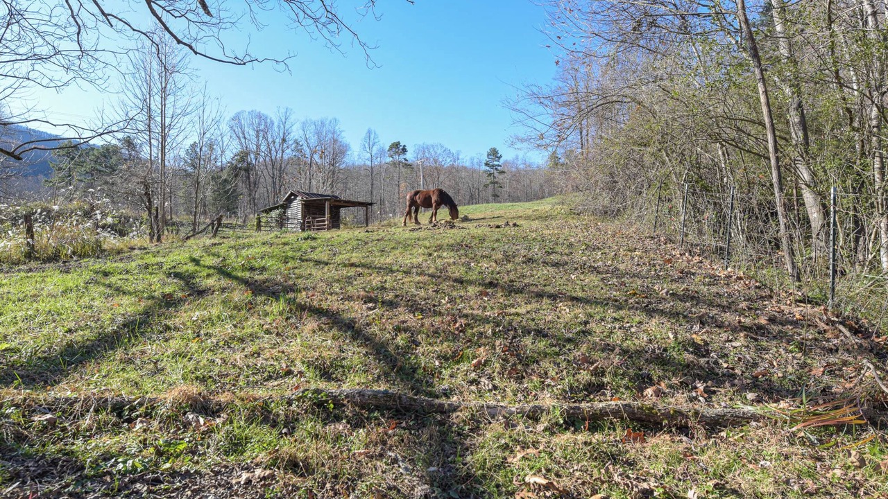 Photo of Outdoor in Saluda