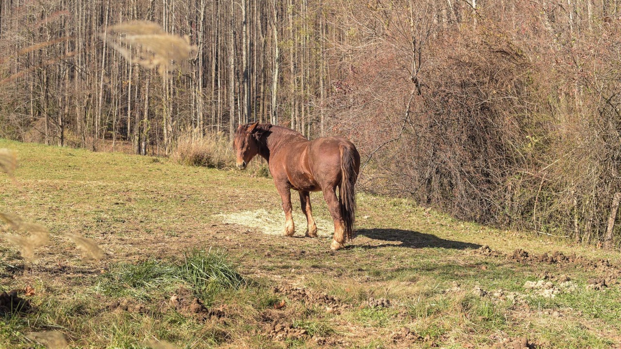 Photo of Others in Saluda