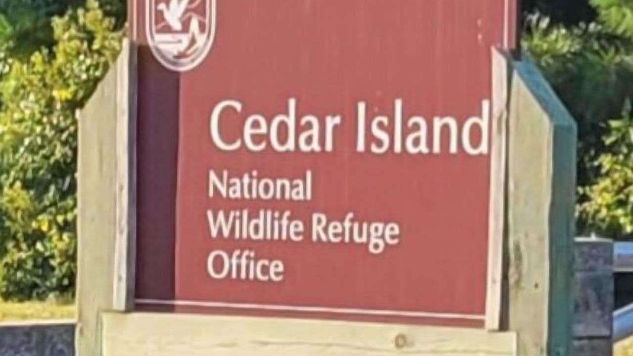 Photo of Outdoor in Sealevel