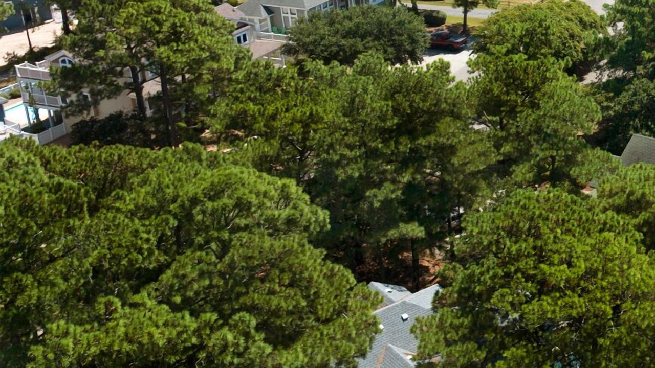 Photo of Outdoor in Corolla Light