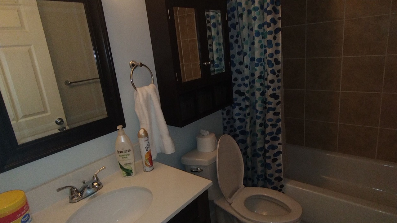 Photo of Bathroom in Winston - Salem