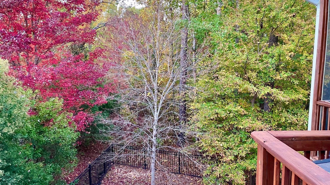 Photo of Outdoor in McCain