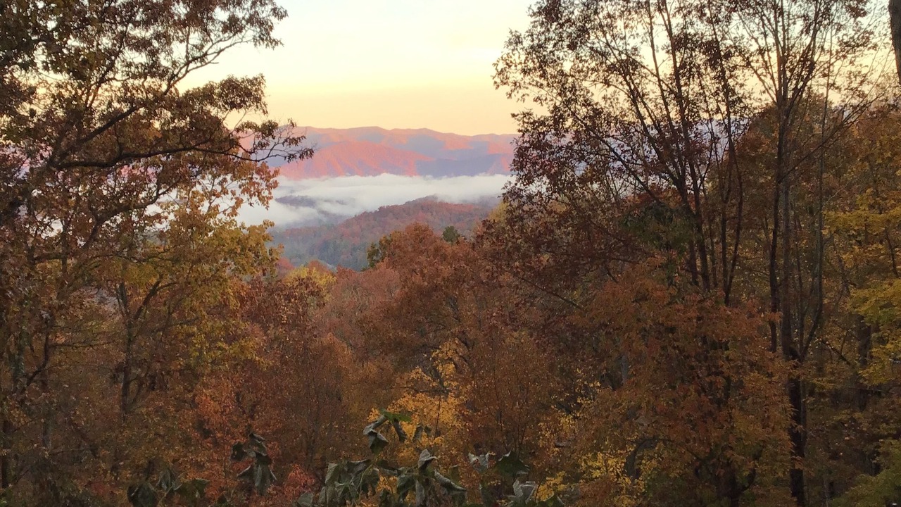 Photo of Others in Bryson City