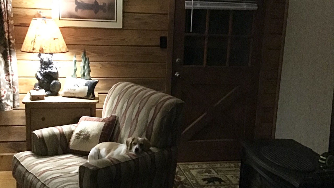 Photo of Others in Bryson City